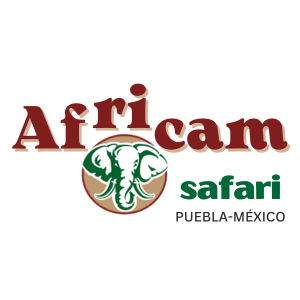 AFRICAM Rediseño